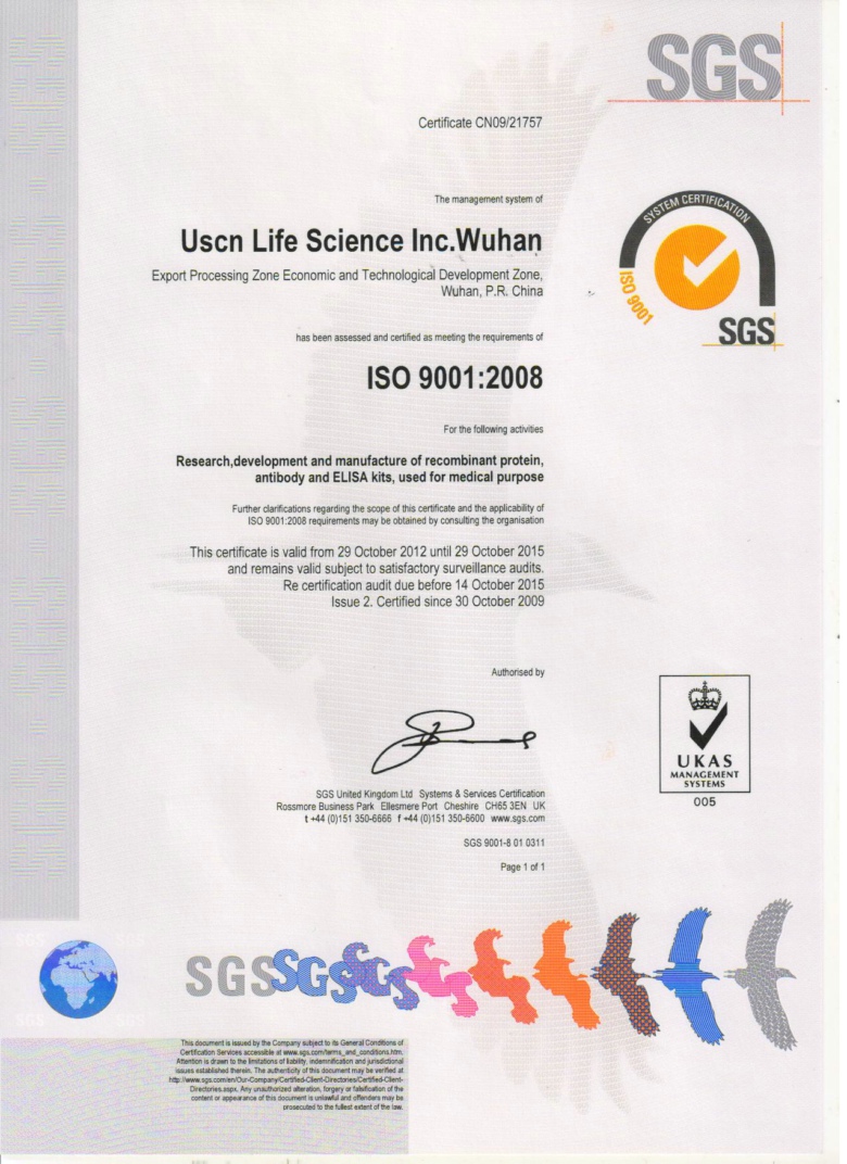 ISO9001:2008证书(第二次认证)